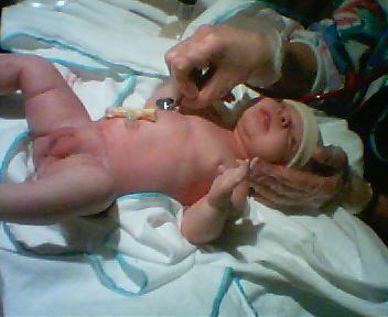 CRE00073 JPG        27,136  01-13-04  2:20a